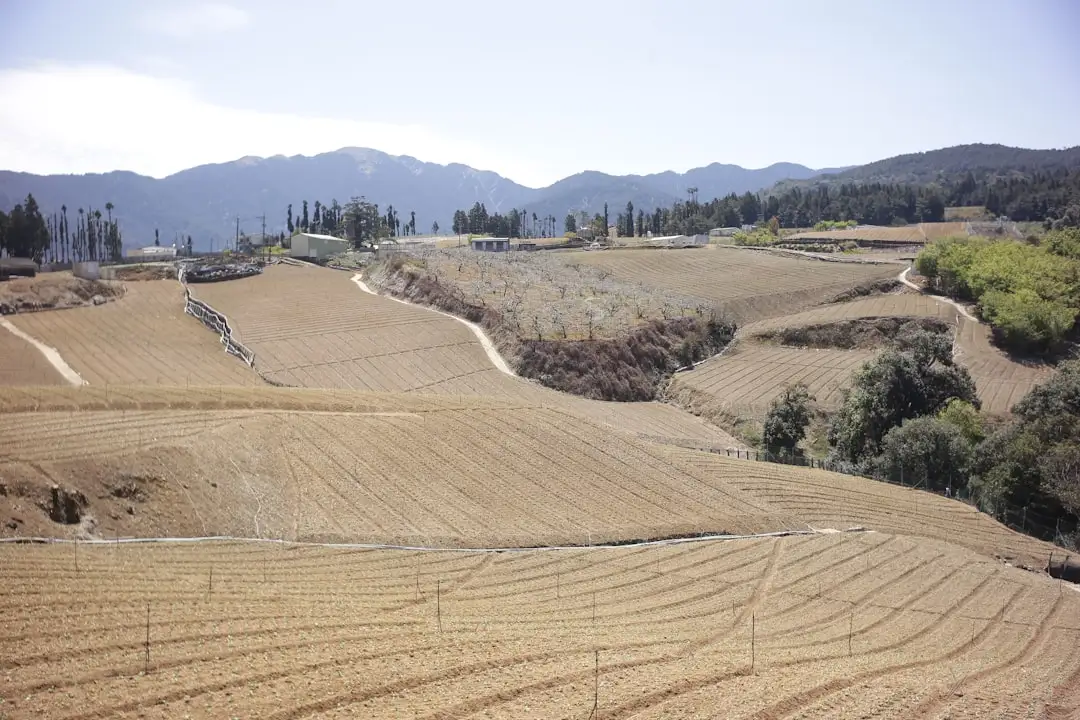 基于教育科技的高考志愿填报系统技术架构解析