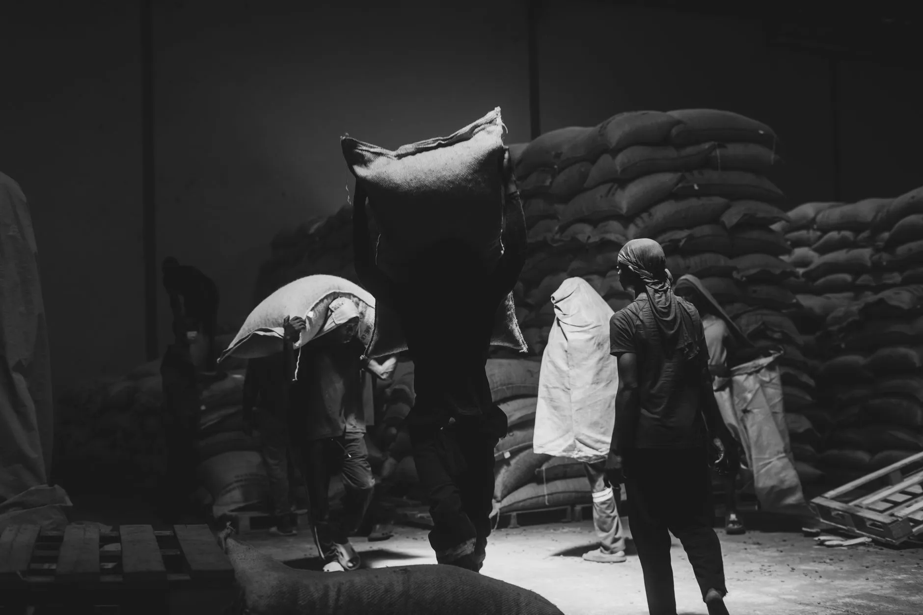 2025年高考志愿填报新政解读：辽宁地区升学路径规划趋势分析