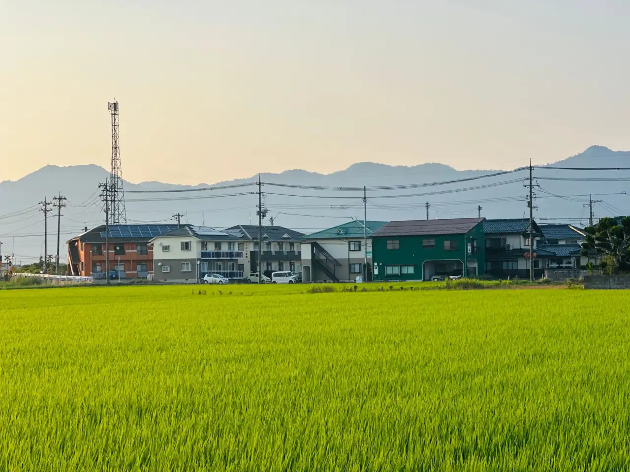 教育科技行业AI辅助志愿填报工具的应用现状与趋势展望