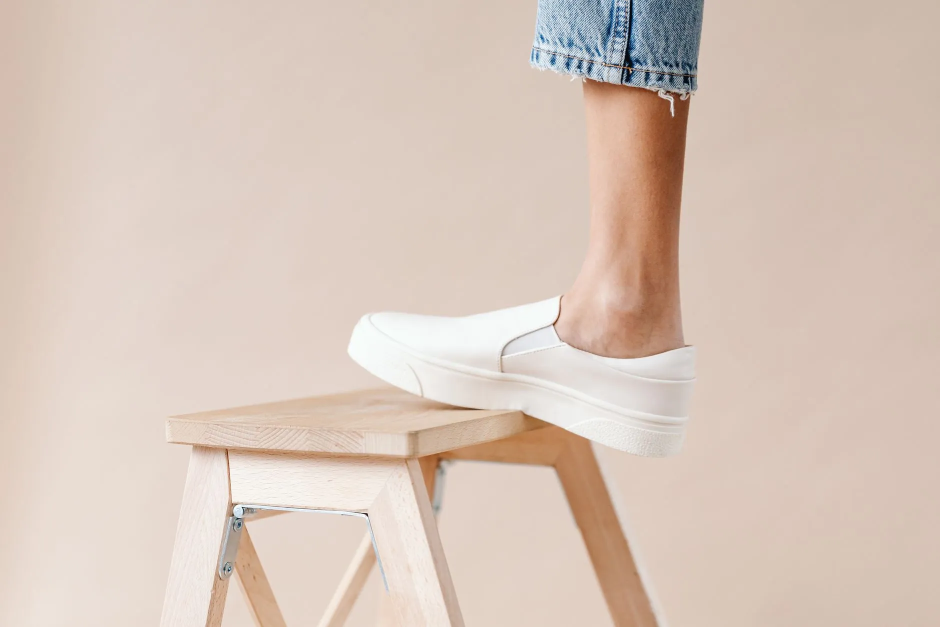 高考志愿通系列产品功能对比：标准版与专业版差异分析