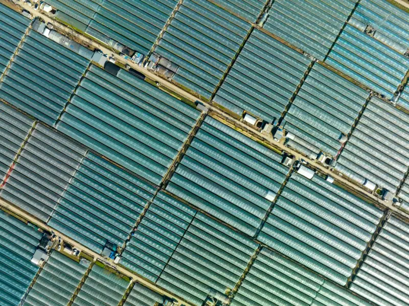 教育科技赋能升学规划：高考志愿通在线课程开发实践解析