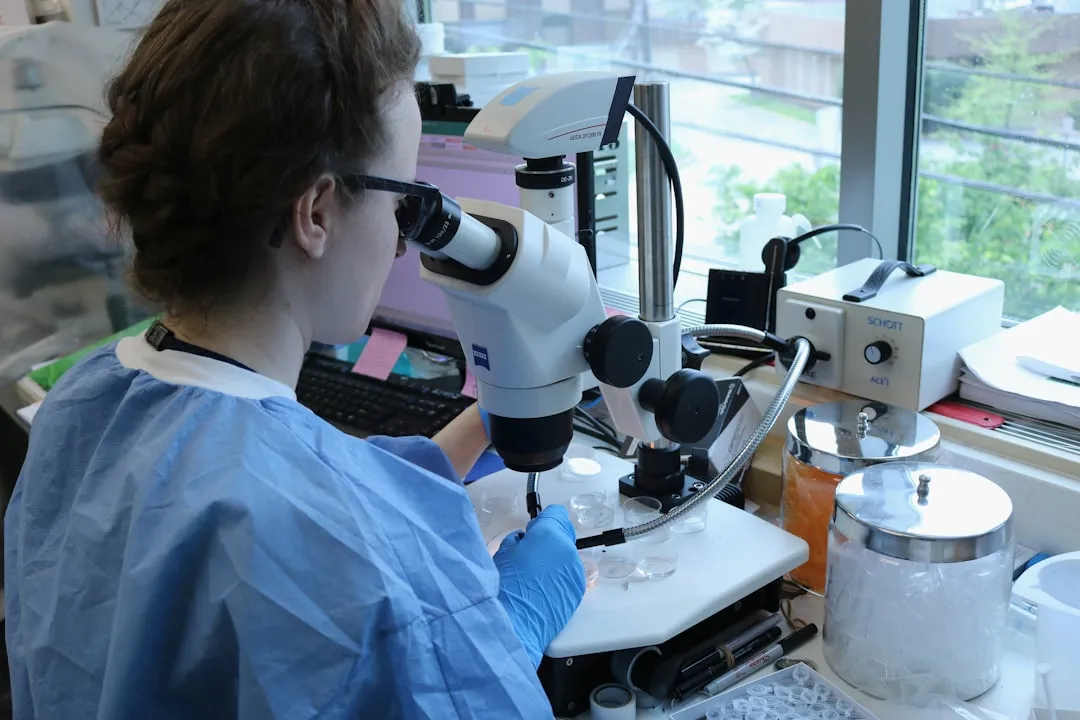 辽宁北方报业教育高考志愿通系统技术架构与功能解析